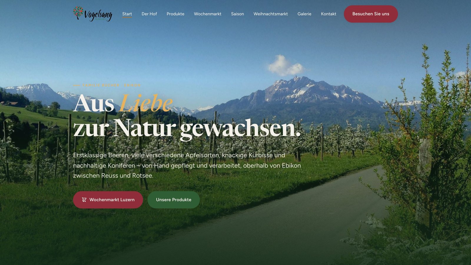 Vogelsang-3 Website — Hero